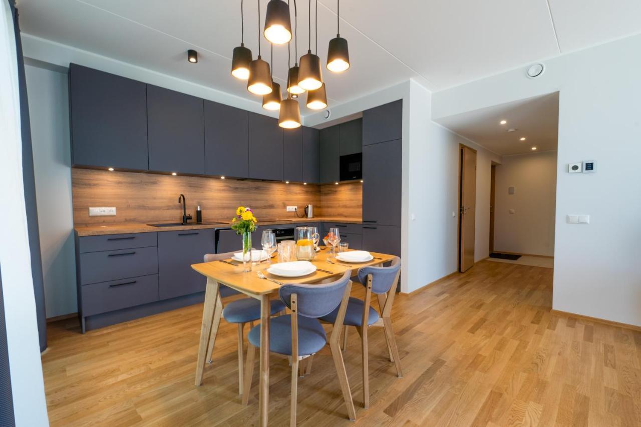 Delta Luxury Apartment With Terrace 塔尔图 外观 照片