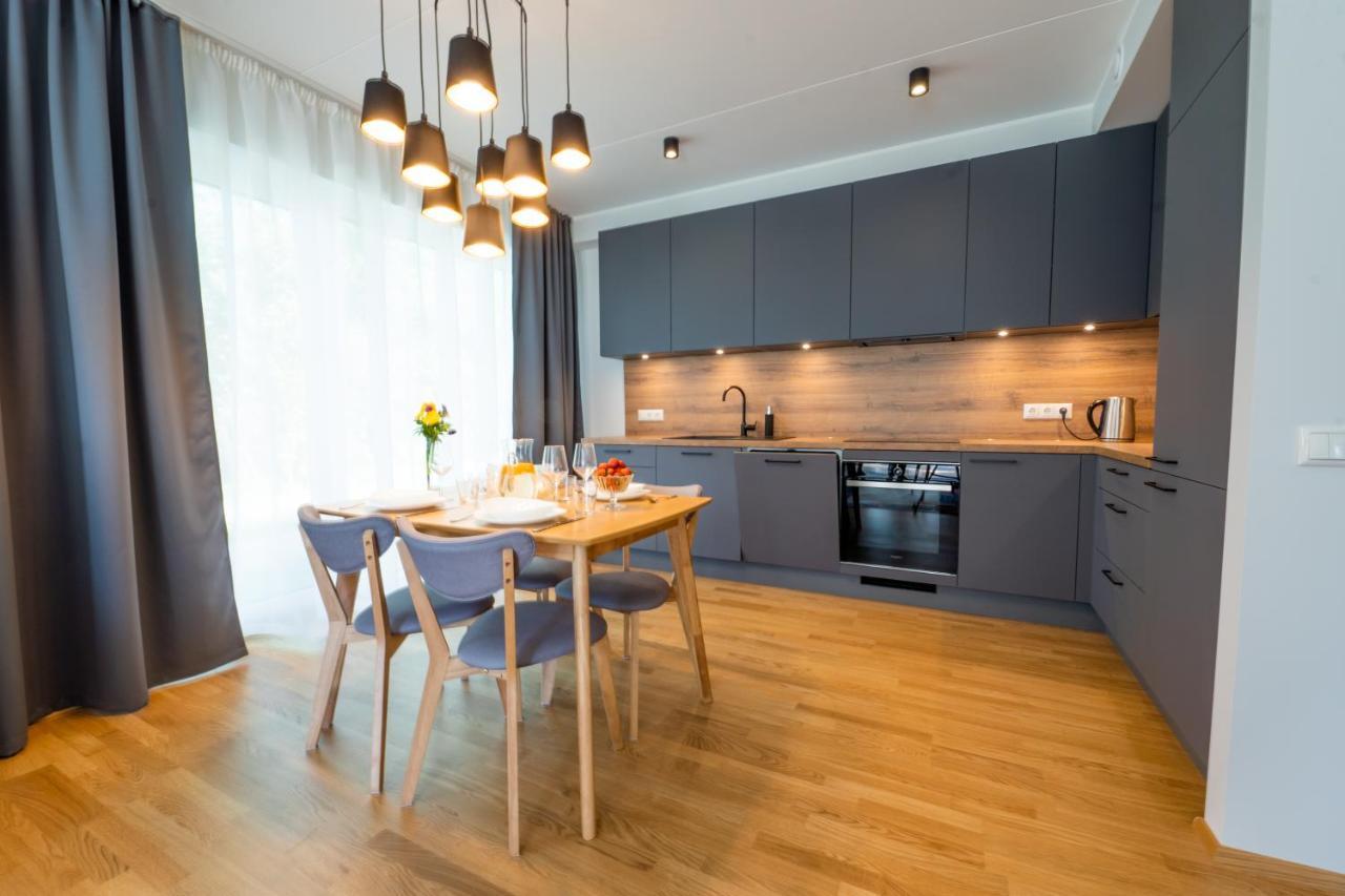 Delta Luxury Apartment With Terrace 塔尔图 外观 照片